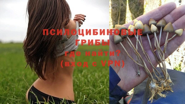 ALPHA PVP Верхний Тагил